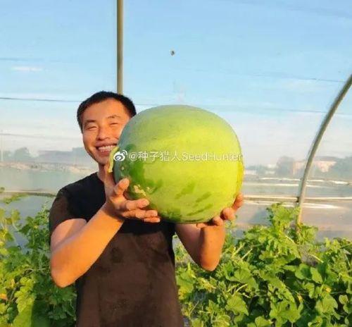 娱乐吃瓜酱百岁,娱乐吃瓜酱的璀璨人生回顾 第2张 娱乐吃瓜酱百岁,娱乐吃瓜酱的璀璨人生回顾 第2张